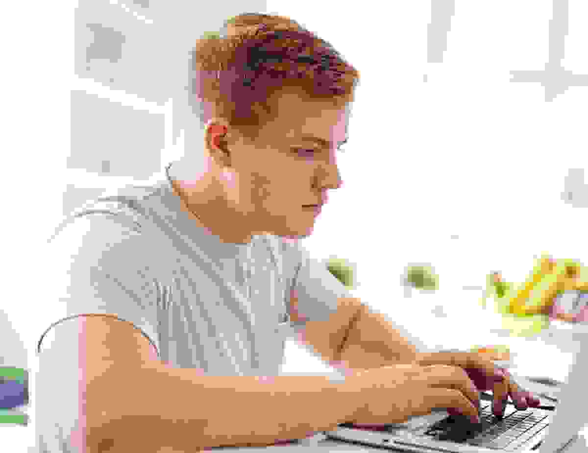 Vestibulum pellentesque metus